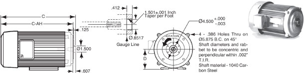 C30 Motors 3 Phase - 2 POLE 3450 / 2880 RPM